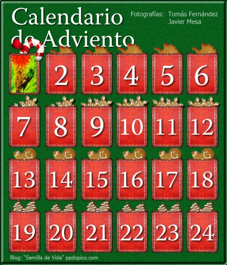CalendarioAdvientoDia1