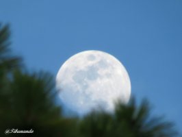 Día 14 de Adviento, Luna llena del día 13 Foto de Isidro Pestana @Tibunando
