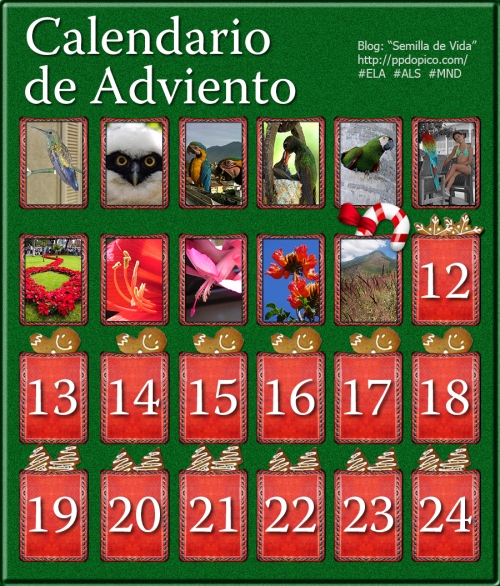 CalendarioAdvientoDia11